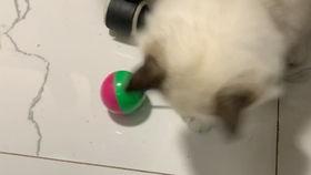 国产偷怕在线,揭秘网络偷拍现象背后的伦理困境